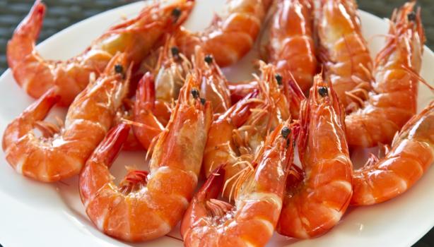 Platillo de gambas frescas.